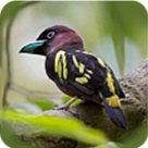 WWW,av932·COM网站APP