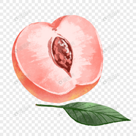 WWW,se502·COM网站APPAPP应用
