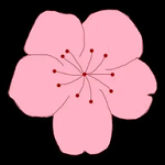 WWW,49vv·COM网站APPAPP应用