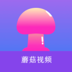 WWW,977se·COM网站APP